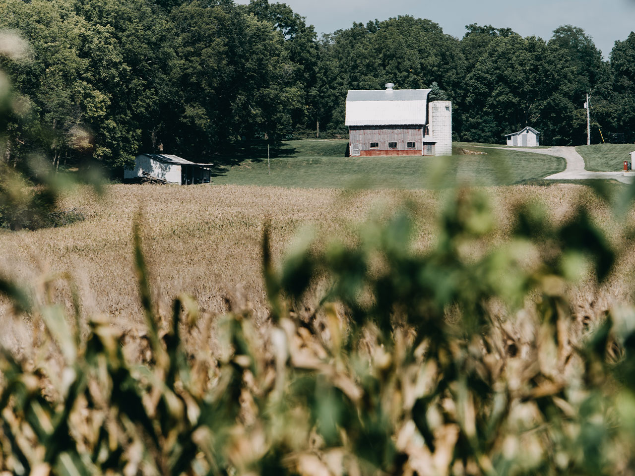 Rural property in the Appalachian region